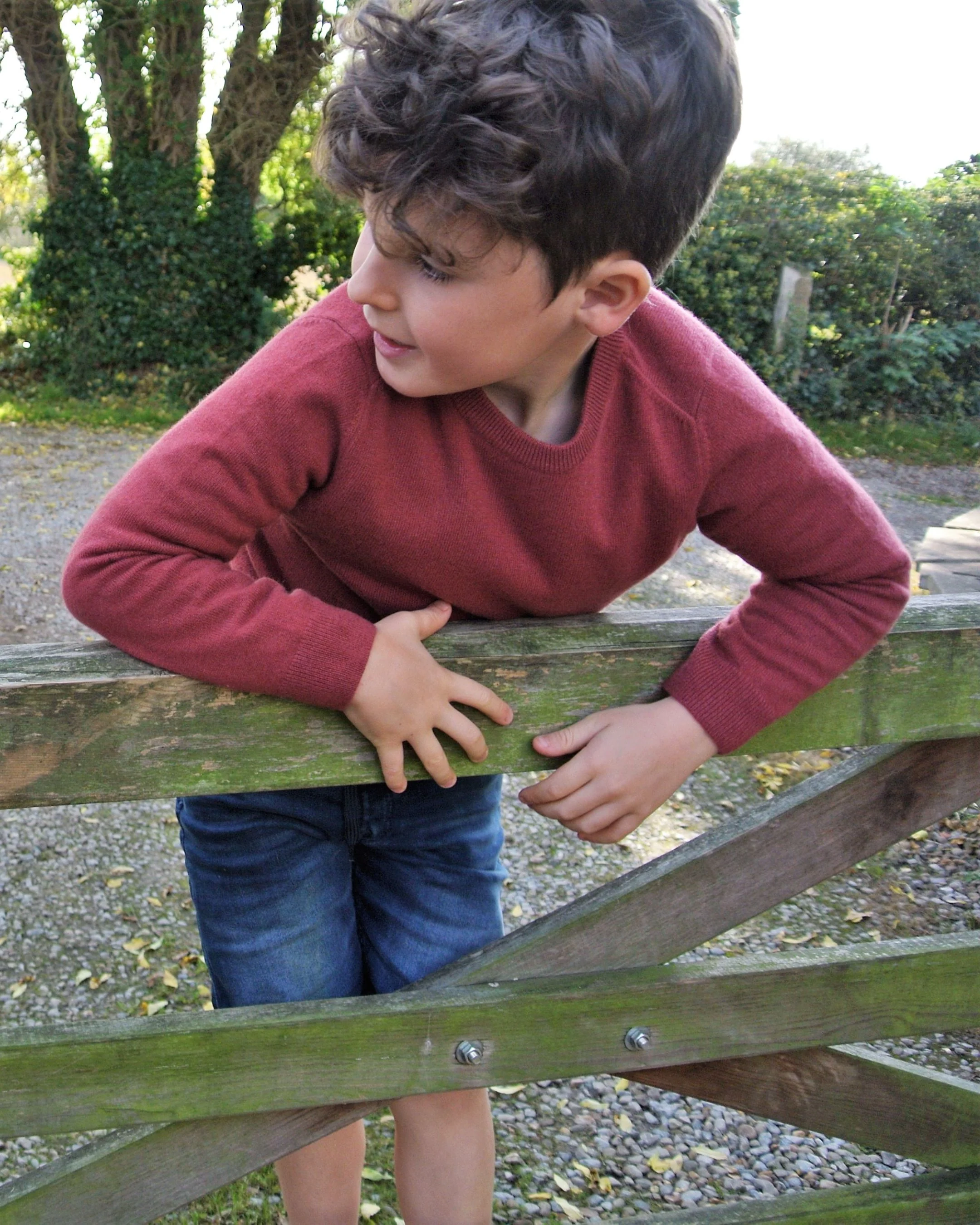 Boys Round Neck Cashmere Jumper Brick Red - Image 5